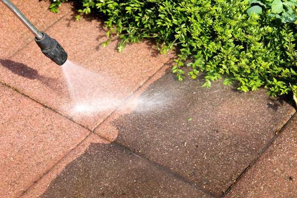 Best Commercial Building Pressure Washing  in Steelton, PA